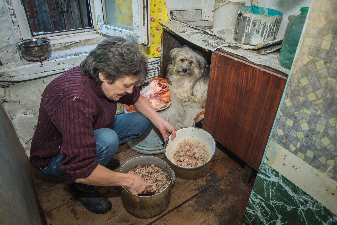Фото «Я без них умру, и они без меня тоже»: водитель-телохранитель из Новосибирска превратила свой дом в будку для 22 собак 7